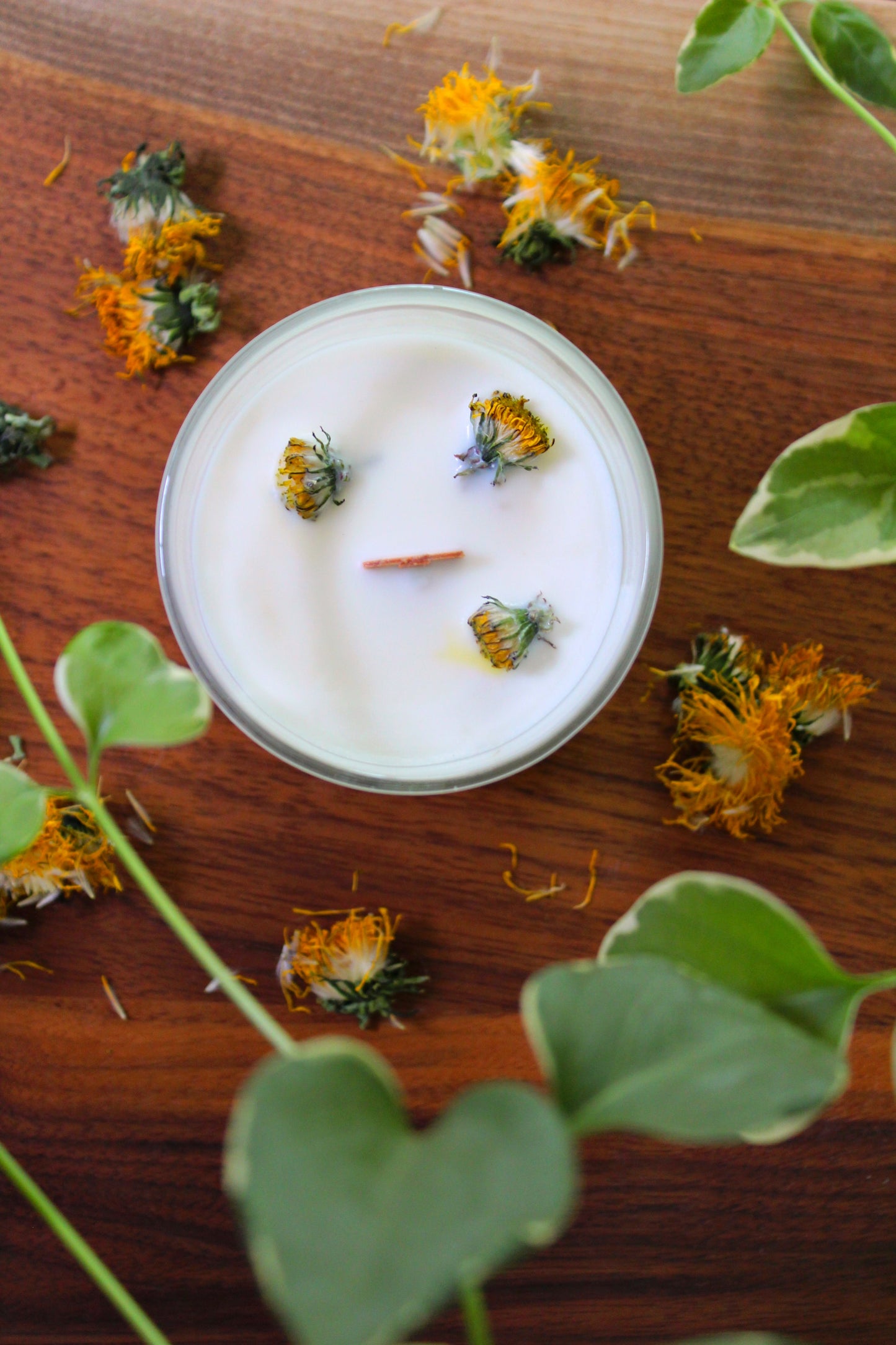 Shinnecock Breeze Soy Wax Candle 7oz Wood Wick